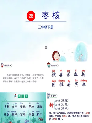 枣核PPT课件8