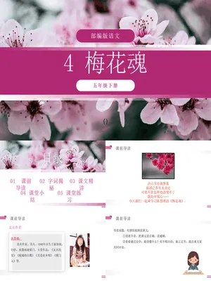 梅花魂PPT课件8