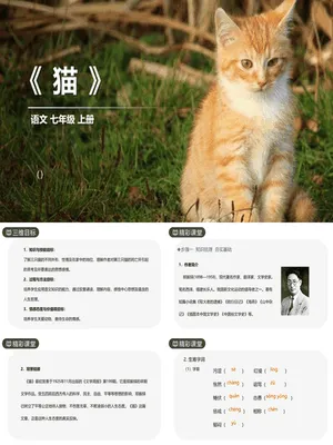 《猫》PPT课件5
