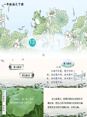 荷叶圆圆PPT课件6