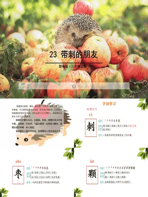 带刺的朋友PPT课件3