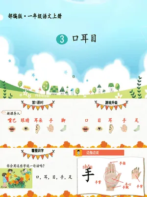 耳口目PPT课件4