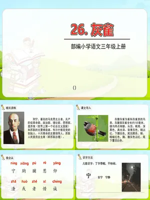 灰雀PPT课件8