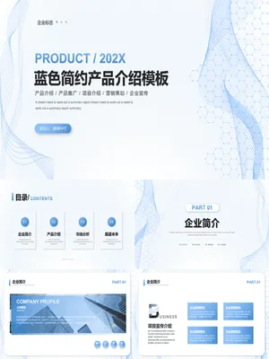 CP0001PPT产品介绍模板精选