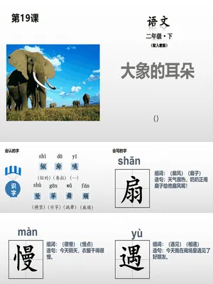 大象的耳朵PPT课件2