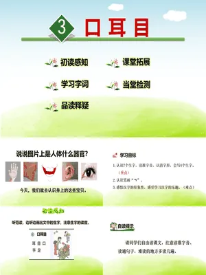 耳口目PPT课件3