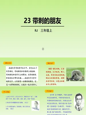 带刺的朋友PPT课件8