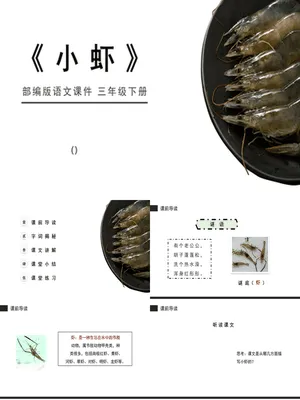 小虾PPT课件4