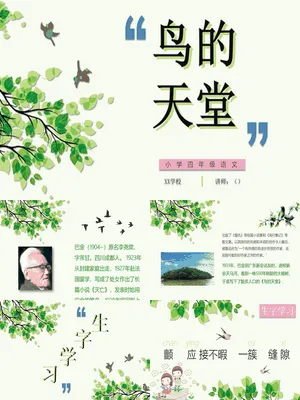 鸟的天堂PPT课件6