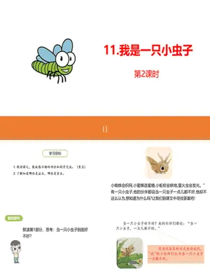 我是一只小虫子PPT课件4