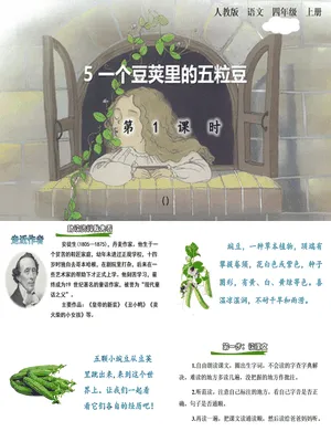 一个豆荚里的五粒豆PPT课件5