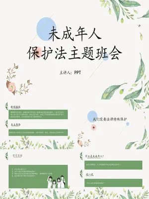 未成年人保护法主题班会