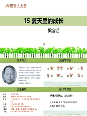 夏天里的成长PPT课件6