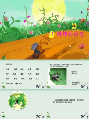 蟋蟀的住宅PPT课件7