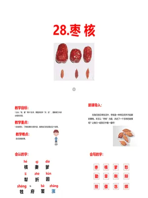 枣核PPT课件3