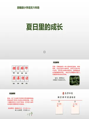 夏天里的成长PPT课件5