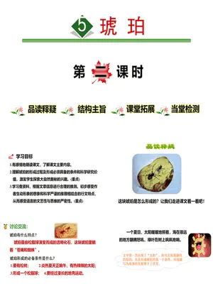 琥珀PPT课件7