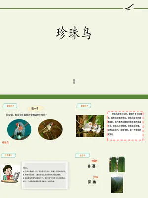 珍珠鸟PPT课件8
