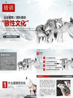 企业文化狼性精神培训