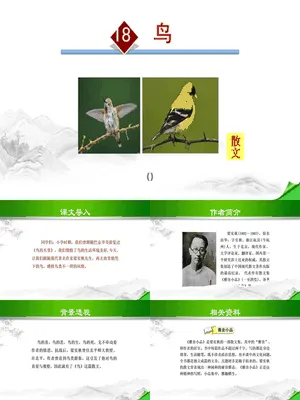 鸟PPT课件3