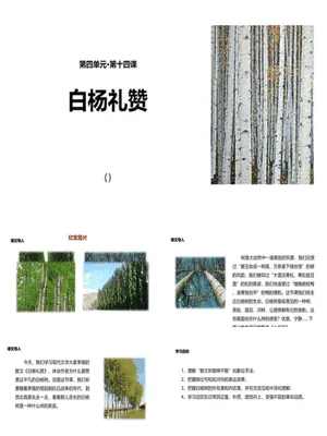 白杨礼赞PPT课件4