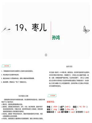 枣儿PPT课件3