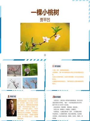 一颗小桃树PPT课件4