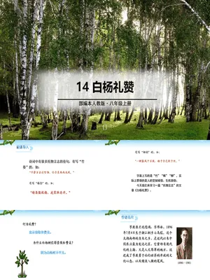 白杨礼赞PPT课件7