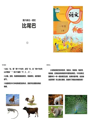 比尾巴PPT课件2