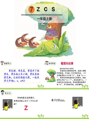 《zcs》PPT课件6