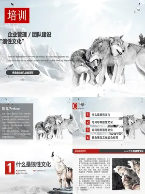 P49226狼性文化与团队执行力培训