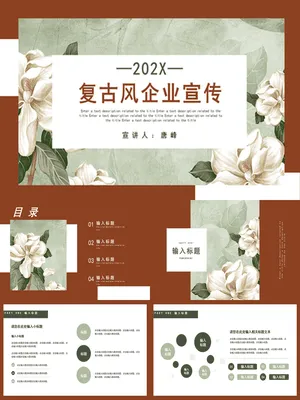SW00059JS00021融资商业计划书