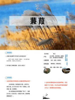蒹葭PPT课件4