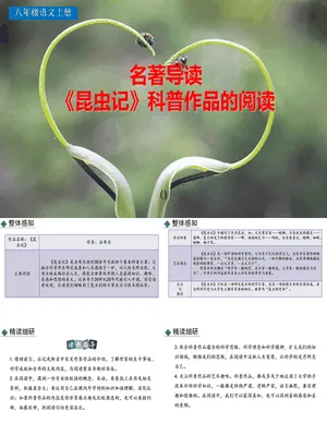 昆虫记PPT课件2