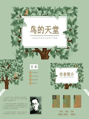 鸟的天堂PPT课件4