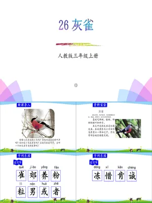 灰雀PPT课件1