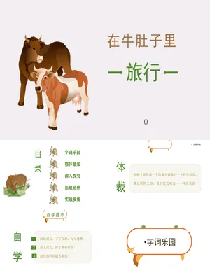 在牛肚子里旅行PPT课件5