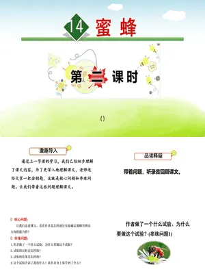 蜜蜂PPT课件7