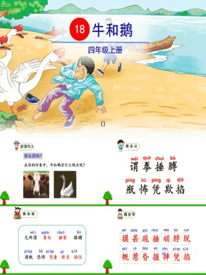 牛和鹅PPT课件5