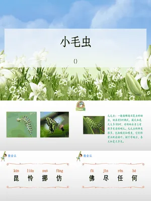 小毛虫PPT课件1