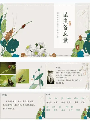 昆虫备忘录PPT课件8