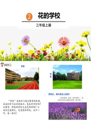 花的学校PPT课件6