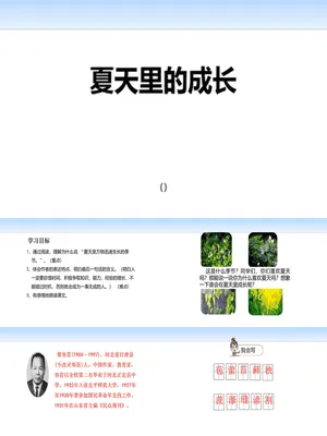 夏天里的成长PPT课件2