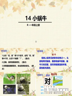 小蜗牛PPT课件5