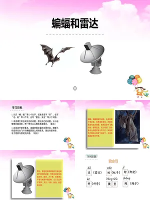 蝙蝠与雷达PPT课件3