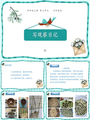 写观察日记PPT课件2