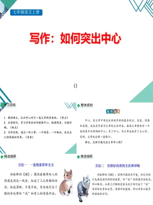 如何突出中心PPT课件5