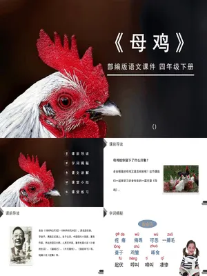 母鸡PPT课件1