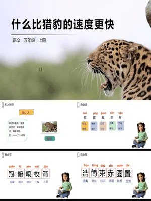 什么比猎豹的速度更快PPT课件5