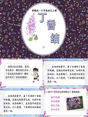 丁香结PPT课件8